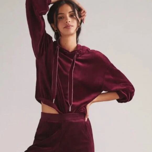 Anthropologie Tops - Anthropologie Velour Plum Hoodie - New - Size Medium